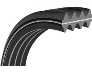 Classical Cogged V Belts