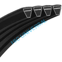 Metric Wedge Banded Belt