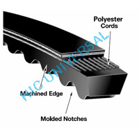 Metric Cogged V-Belt
