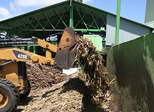 sugar-harvesting-v-friction-belt